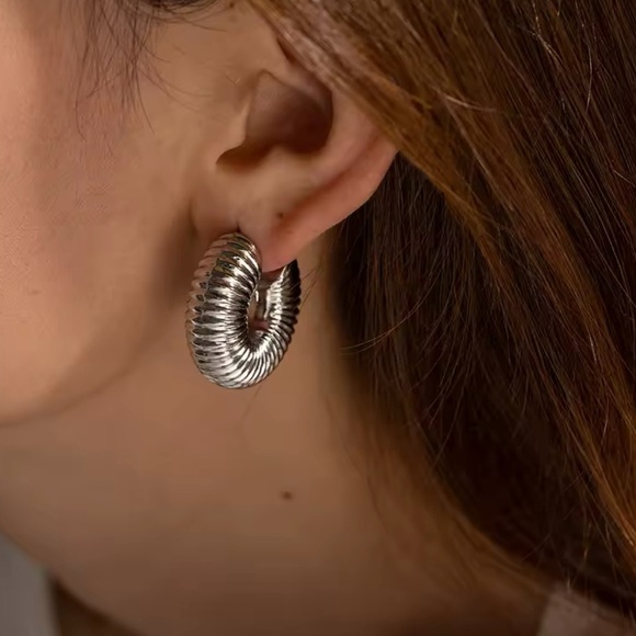 Twist Elegant Silver Hoop Earrings - Picture 2 of 7